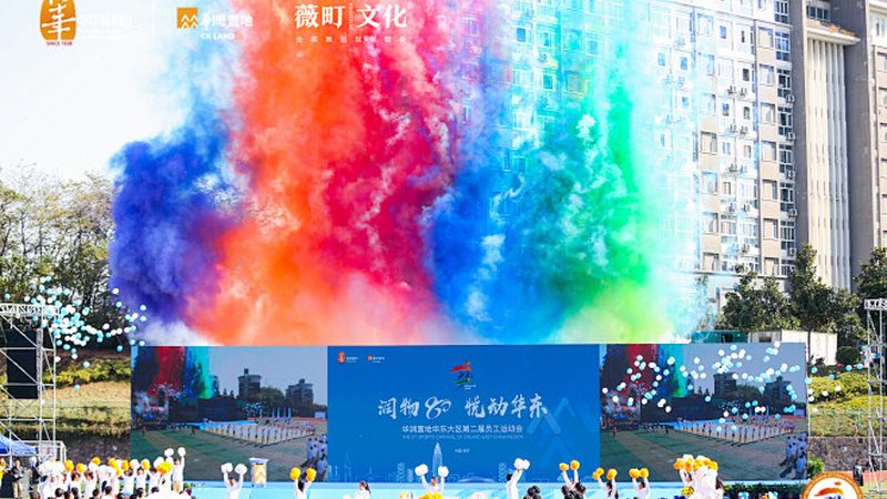 VI设计素材分类：用途细分解析